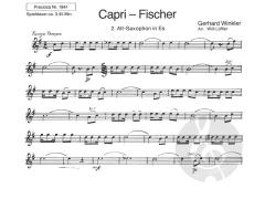 Capri-Fischer und Frühling in Toscana von Gerhard Winkler 