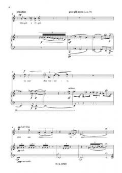 Neuf Fatrasies für Sopran und Klavier von Johannes X. Schachtner 