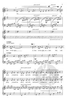Stars Tonight von Judith Herrington (Download) 