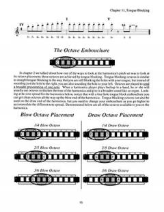 Complete Classic Chicago Blues Harp von David Barrett 