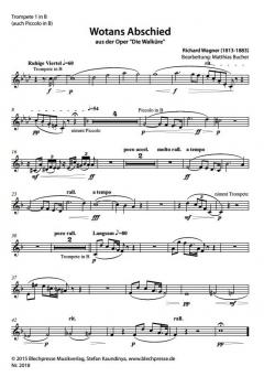 Wotans Abschied aus der Oper 'Die Walküre' (Richard Wagner) 