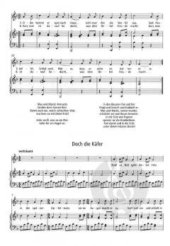 Ein Bach im Busch von Johannes Pöld 