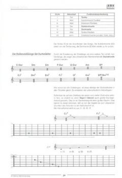 Survival Guitar 