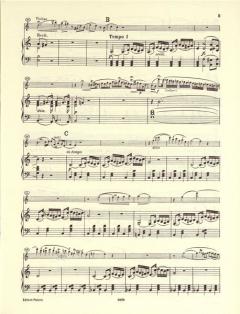 Konzert Nr. 8 a-moll op. 47 von Louis Spohr 