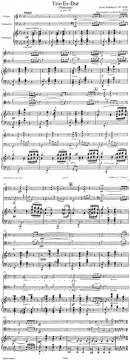 Trio Es-Dur op. post. 148 D 897 (Franz Schubert) 