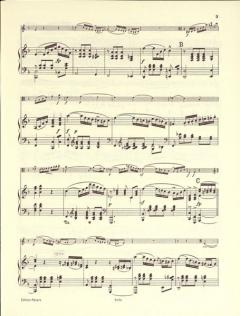 Märchenbilder op. 113 von Robert Schumann 