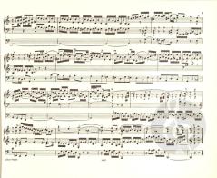 Orgelwerke Band 2 von Johann Sebastian Bach im Alle Noten Shop kaufen - EP241