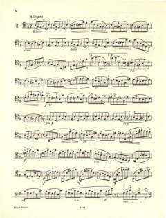 12 Etüden op. 35 von August-Joseph Franchomme 
