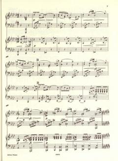 Sonate f-moll op. 34a von Johannes Brahms 