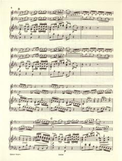Doppelkonzert in c-Moll BWV 1060 von Johann Sebastian Bach 