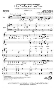 Like I'm Gonna Lose You von Justin Weaver 