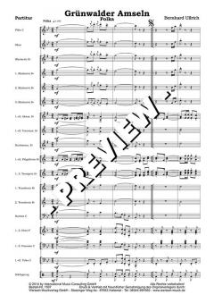 Grünwalder Amseln - DOWNLOAD von Bernhard Ullrich (Download) 