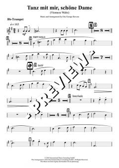 Tanz mit mir, schöne Dame - DOWNLOAD von Eric Stevens (Download) 