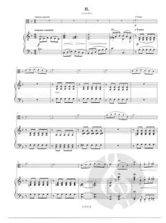 Concertino op. 13 von Leo Portnoff 