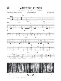 Dual Arrangements For The 5-String Banjo im Alle Noten Shop kaufen
