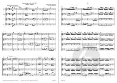 Concerto Op. 8, 2 'Sommer' (RV 315) (Antonio Vivaldi) 