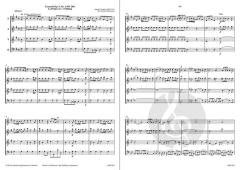 Concerto Op. 8, 1 'Frühling' (RV 269) (Antonio Vivaldi) 