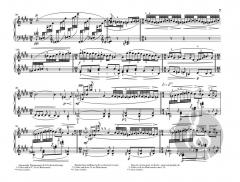 Prélude à l'après-midi d'un faune von Claude Debussy 
