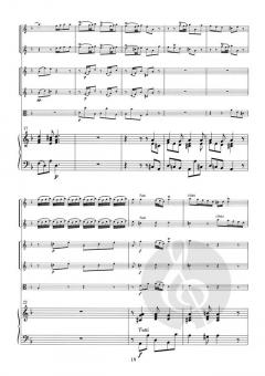 Concerto in g-Moll FWV L:g4 (Johann Friedrich Fasch) 