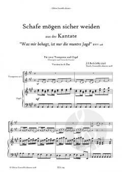 Schafe mögen sicher weiden von Johann Sebastian Bach 