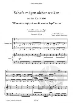 Schafe mögen sicher weiden von Johann Sebastian Bach 