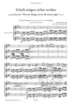 Schafe mögen sicher weiden von Johann Sebastian Bach 
