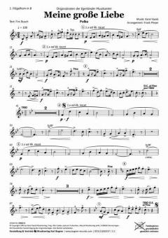 Meine große Liebe (Ernst Mosch) 
