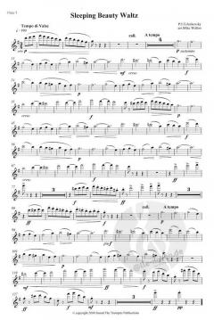 Sleeping Beauty Waltz von Pjotr Iljitsch Tschaikowski für 4 Flöten im Alle Noten Shop kaufen