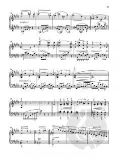 At The Piano - Liszt von Franz Liszt 