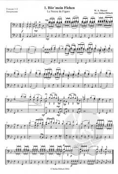 Hochzeit des Figaro (Wolfgang Amadeus Mozart) 
