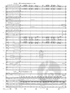 The Rebellion Is Reborn von John Williams 