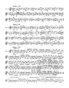 40 Variationen für Violine op. 3 von Otakar Ševčík im Alle Noten Shop kaufen