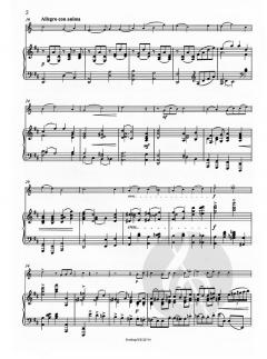 Sonate Nr. 2 D-dur op. posth. von Camillo Schumann für Horn und Klavier