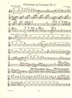 Orchester-Probespiel für Flöte/Piccoloflöte im Alle Noten Shop kaufen