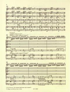 Die vier Jahreszeiten: Der Sommer von Antonio Vivaldi 