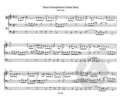 Orgelwerke 1 von Johann Sebastian Bach im Alle Noten Shop kaufen