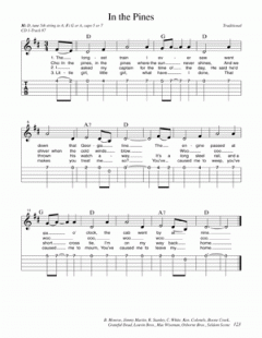 Parking Lot Picker's Songbook von Dix Bruce 