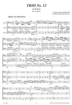 Trio Nr.12 B-dur (François-René Gebauer) 