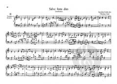Cantantibus Organis Band 8 