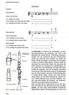 Handbuch der Musikinstrumentenkunde (Erich Valentin) 