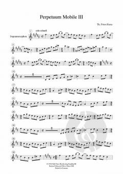 Perpetuum mobile von Thomas Peter-Horas 